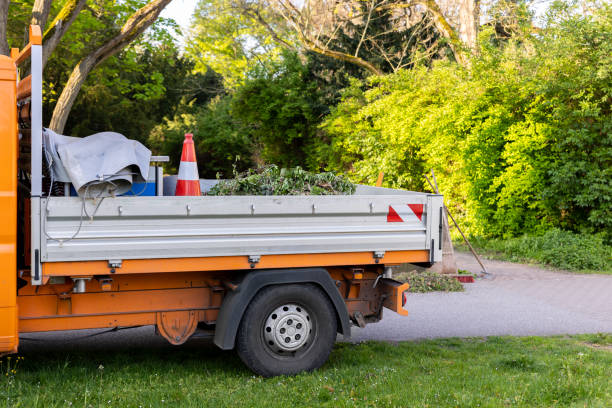 istockphoto 2155037173 612x612 1